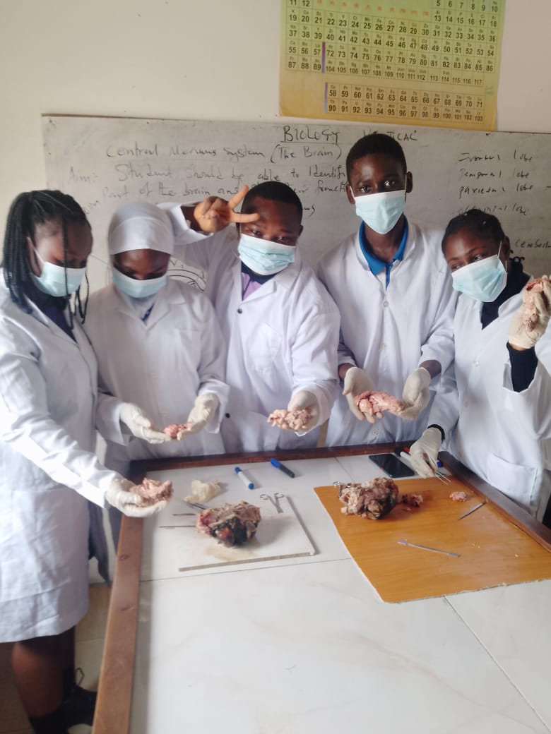 Lab 3